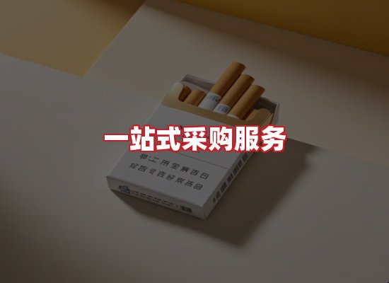 专业团队